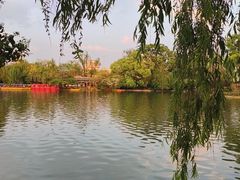 -翠湖公园