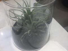 -Fridi Patisserie Cafe