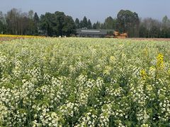 -中国天府农业博览园