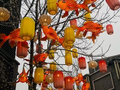 -龙湖星悦荟(颐和店)