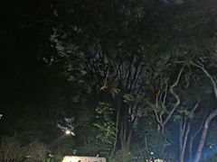 -人民公园(罗湖区)