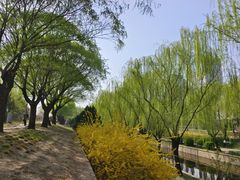 -元大都城垣遗址公园