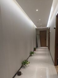 -阅年轻·AI家庭健康体质调理
