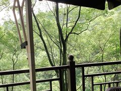 -巴倒烫陆派重庆火锅(南山店)