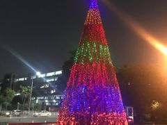 -厦门悦华酒店·绿庭主题自助餐厅