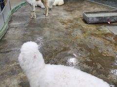 -上海大自然野生昆虫馆(东方明珠·爬宠昆虫探索中心)