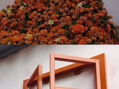 -青果巷历史文化街区