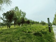 -瀛海足球主题公园