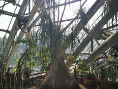 -南山植物园