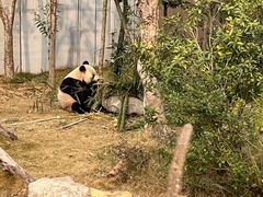 -成都杜甫草堂博物馆