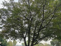-西南政法大学(渝北校区)