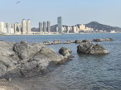 -黑石礁公园