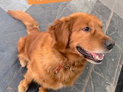 -小蛮椒麻辣烫·麻辣拌(青浦宝龙店)