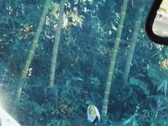 -将军关探险漂流