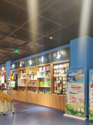 -飞览天下沉浸式飞行体验(北京旗舰店)