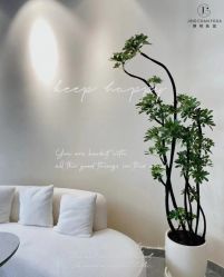 -JC·YOGA静禅瑜伽普拉提