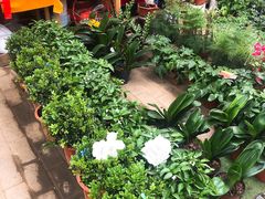-秦美花卉(天朗·莱茵小城2期店)