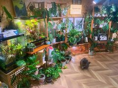 -Rabbit Cafe私房西餐甜点咖啡(栖霞路店)