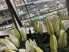 -苏浙总会(国金中心店)