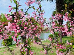 -玄武湖景区-情侣园游乐场