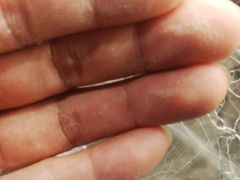 -上海虹桥西郊假日酒店