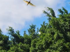 -人民公园(罗湖区)