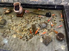 -小螺号海鲜·地道鲁菜(省体总店)