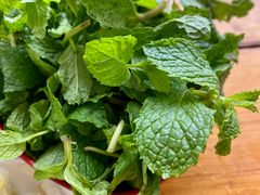 -攀枝花·任德琼·盐边羊肉米线