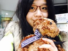 -济州岛泰迪熊博物馆