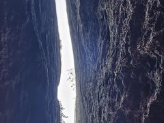 -汤旺河林海奇石景区