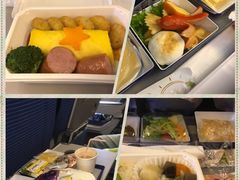 -全日本空输株式会社(上海办事处)
