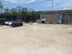 -南汇新场正宗水蜜桃采摘