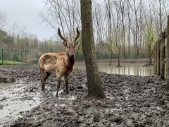 -溱湖国家湿地公园