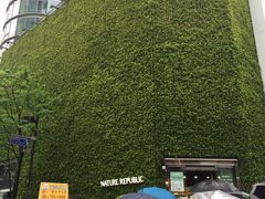 -line friends(明洞旗舰店)