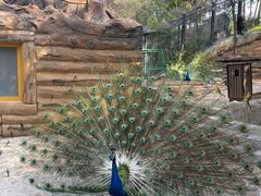 -燕塞湖鸟语林景区