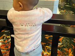 -龙悦湾酒家·八阵鱼生·渔人码头店