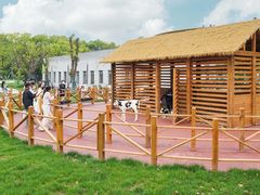 -光明牧业有限公司金山种奶牛场