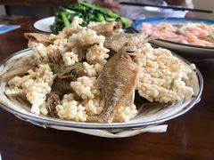 -美味之家·湖景农家乐(太湖东山店)