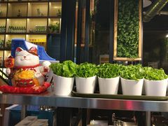 -韩聚屋韩国烤肉餐厅(新北万达店)