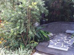 别墅花园里的温泉池-广州锦绣香江度假别墅