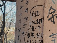 -望溪公园