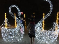 -昆山城市生态森林公园