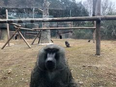-杭州野生动物世界
