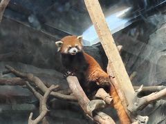 -武汉动物园