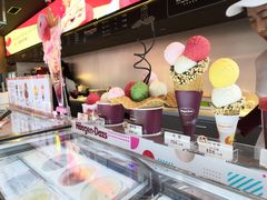 -哈根达斯(西安高新店)