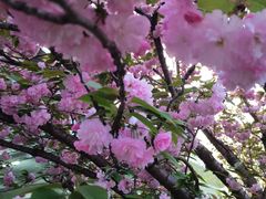 -上海游泳馆(地铁站)