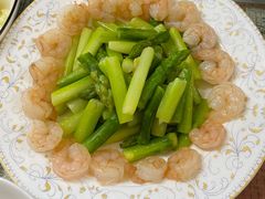 -葱妈母婴医护月嫂中心(浦东店)