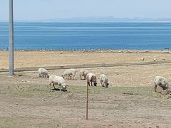-青海湖国家重点风景名胜区
