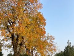 -兰湘子·湘菜小炒(三桥万象城店)