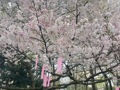 -杭州少年儿童公园